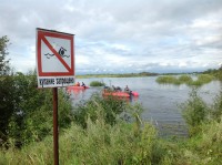 /album/roliki/img-1179-jpg/