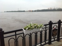 /album/roliki/img-1200-jpg/