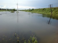 /album/roliki/img-1219-jpg/