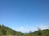 /album/roliki/img-1276-jpg/