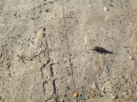 /album/roliki/img-1281-jpg/