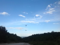 /album/roliki/img-1283-jpg/