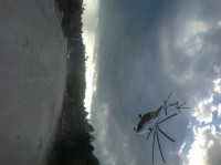 /album/roliki/img-1302-jpg/