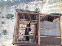 /album/roliki/img-1306-jpg/