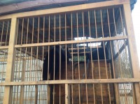 /album/roliki/img-1307-jpg/