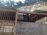 /album/roliki/img-1308-jpg/