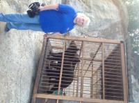 /album/roliki/img-1314-jpg/