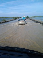 /album/roliki/img-1355-jpg/