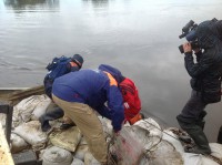 /album/roliki/img-1428-jpg/