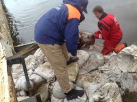 /album/roliki/img-1429-jpg/