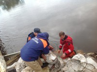 /album/roliki/img-1431-jpg/