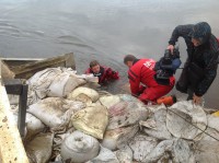 /album/roliki/img-1433-jpg/