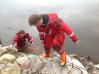 /album/roliki/img-1434-jpg/